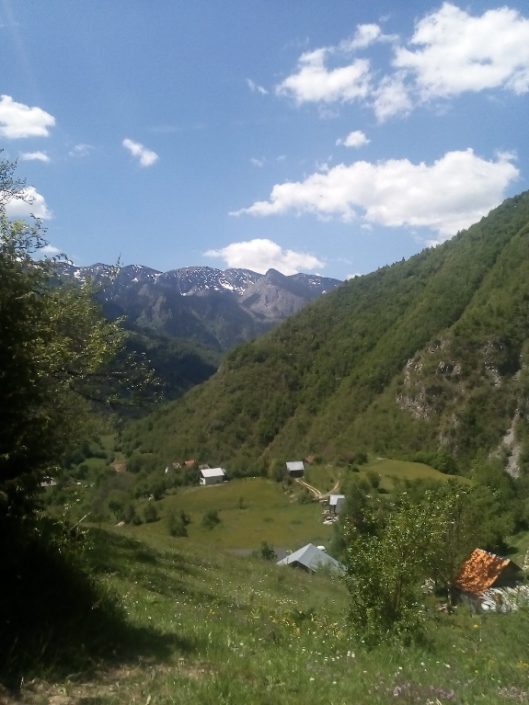 Panorama
