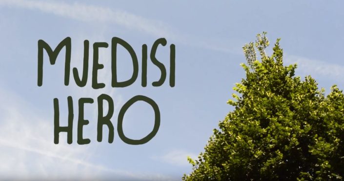 Mjedisi hero